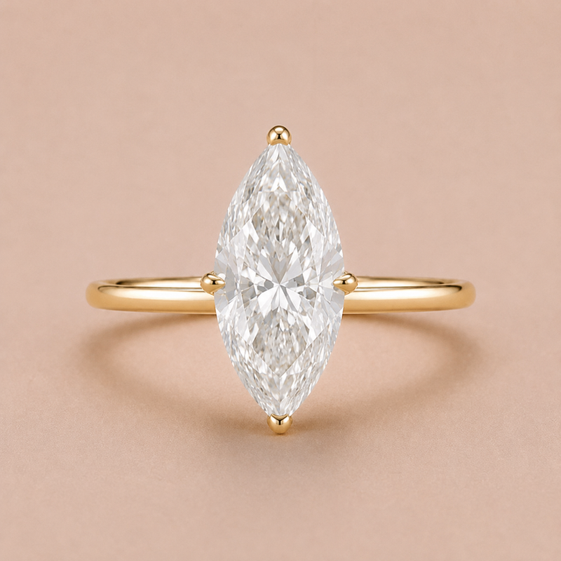 The Marquise